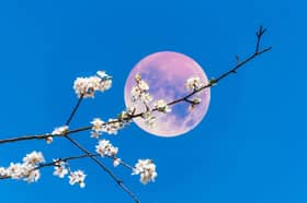The May full moon is called the Flower Moon.