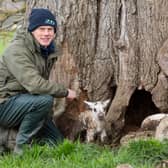 Matt McDiarmid of Mains of Murthly farm, Aberfeldy, rescuing a lamb that had been taking shelter in a tree trunk from the wet weather 