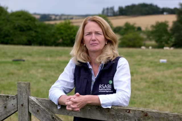 Carol McLaren, chief executive of leading agriculture charity RSABI