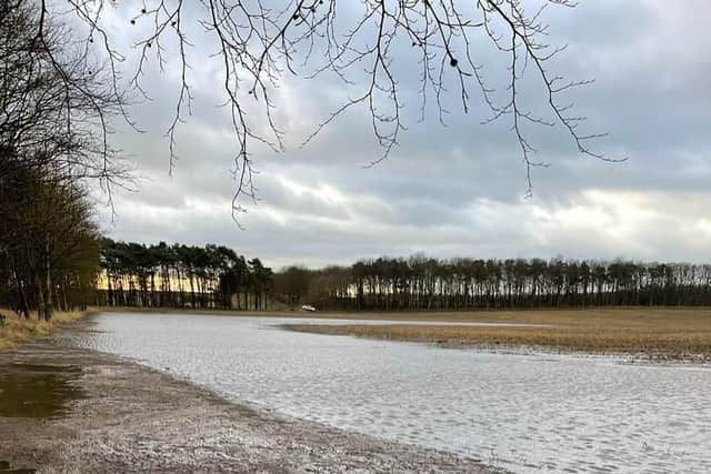 Fields at Ardross Farm near Elie in Fife