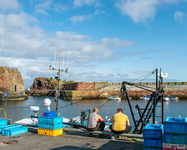 Scotland's leading fishing sector group has called on John Swinney to 'right the wrongs' of the Bute House Agreement 