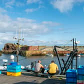 Scotland's leading fishing sector group has called on John Swinney to 'right the wrongs' of the Bute House Agreement 