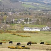 Neidpath Farm is a cluster of four farms that sit next to Peebles in the Borders 