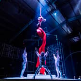 Performers debut the new Cirque du Soleil SPIRIT production at The Macallan Estate