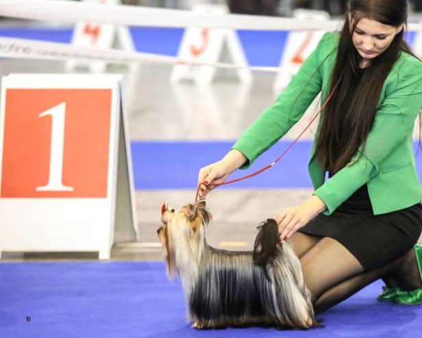 Scotland's biggest dog show is set to take place at Ingliston this weekend.