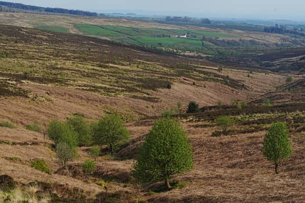 The community raised £6m to purchase the land from the Duke of Buccleuch 