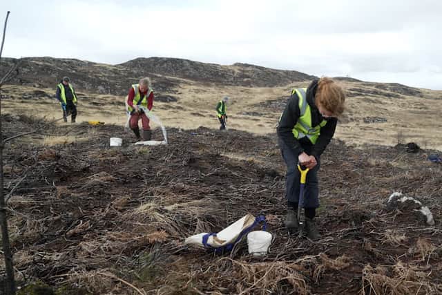 Tree planting underway at the RSPB Scotland Corrimony reserve after the wildfire 