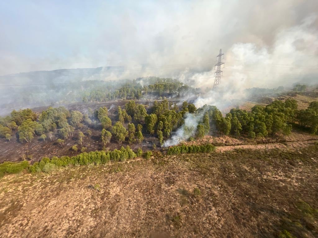 Major Scottish Highlands wildfire site where RSPB nature reserve was ...