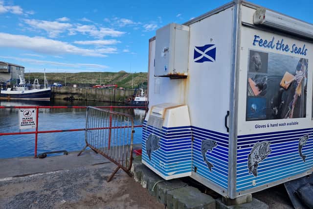 'Please do not feed the seagulls'...'feed the seals' 