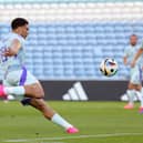 Che Adams is being chased by two clubs this summer. Cr. Getty Images.