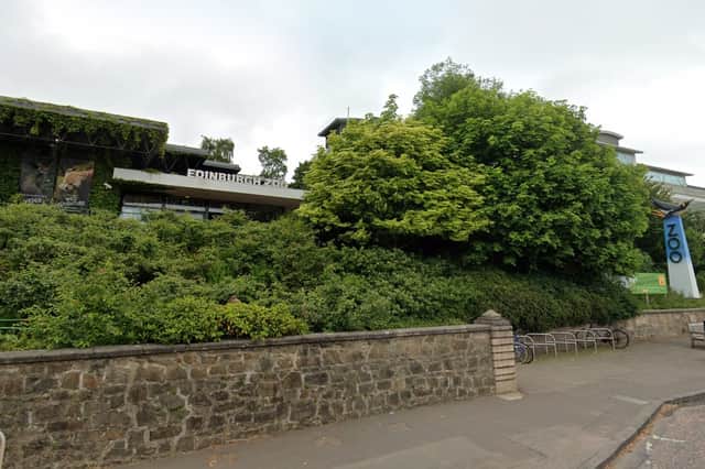 Edinburgh Zoo are offering parking to Taylor Swift fans ahead of her Edinburgh Eras Tour shows. Image: Google Maps