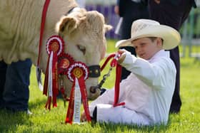Frankie Atkinson from Cumbria with his junior champion British Blonde cow in the ring at the 2023 Royal Highland Centre in Ingliston. Picture: Andrew Milligan/PA Wire