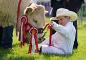 Frankie Atkinson from Cumbria with his junior champion British Blonde cow in the ring at the 2023 Royal Highland Centre in Ingliston. Picture: Andrew Milligan/PA Wire