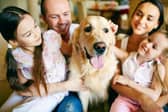 Some dogs are simply naturally more affectionate than others.
