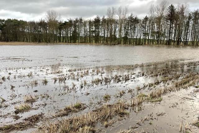 Flooded farm fields in Fife