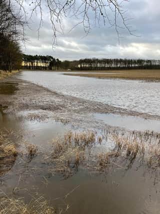 Flooded farm fields in Fife