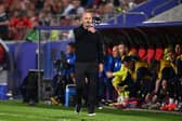 Steve Clarke gestures from the sidelines during the match against Switzerland.