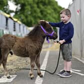 Grayson Calvert, five, with Doorpark Hamish, the miniature Shetland pony at the Royal Highland Show. Picture: John Devlin