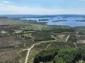 Land sold for forestry in Scotland drops by more than 50 per cent 