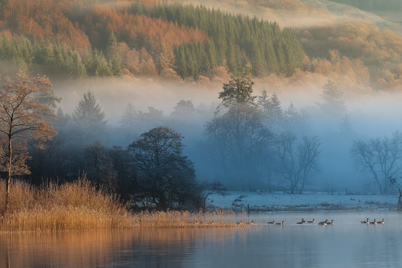 A photo of Loch Ard, located in Loch Lomond and the Trossachs National ParkGrant, by Grant Bulloch. Bulloch is the third photographer whose work is exhibited at Eleven41 gallery. He has been commended in the UK Landscape Photographer of the Year Competition twice, was a finalist in the British Photography Awards in 2022 and 2023, and has been shortlisted in the Scottish Landscape Photographer of the Year Competition every year from 2017 to 2022. 