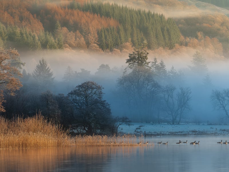 A photo of Loch Ard, located in Loch Lomond and the Trossachs National ParkGrant, by Grant Bulloch. Bulloch is the third photographer whose work is exhibited at Eleven41 gallery. He has been commended in the UK Landscape Photographer of the Year Competition twice, was a finalist in the British Photography Awards in 2022 and 2023, and has been shortlisted in the Scottish Landscape Photographer of the Year Competition every year from 2017 to 2022.