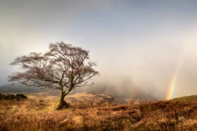 Arran Light 