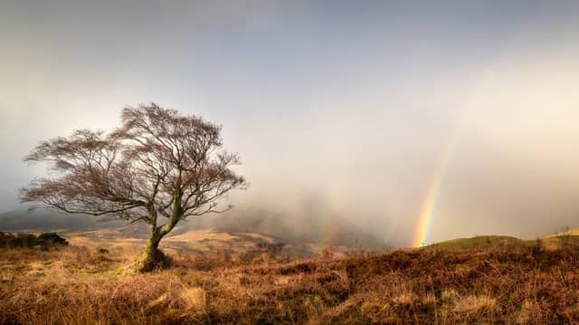 Arran Light