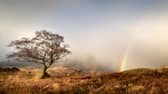 Arran Light 