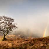 Arran Light 