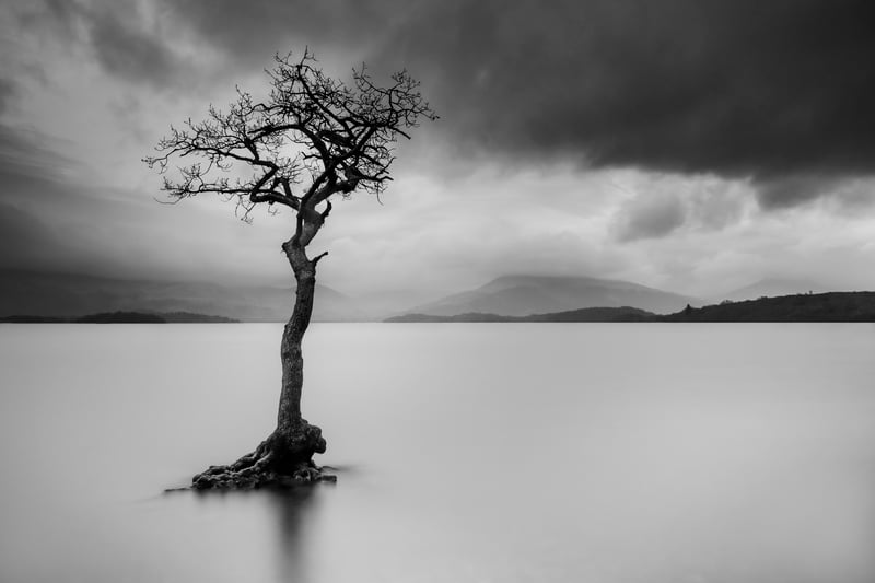 Said to be one of the most photographed trees in Scotland, the Milarrochy tree, a lone oak that rises from the waters of Milarrochy Bay in Loch Lomond, has been captured hereby Queenan. Putting his own spin on it, he combined two impages where the sky is taken as normal, while the water is a long exposure, giving the loch a smooth appearance. 