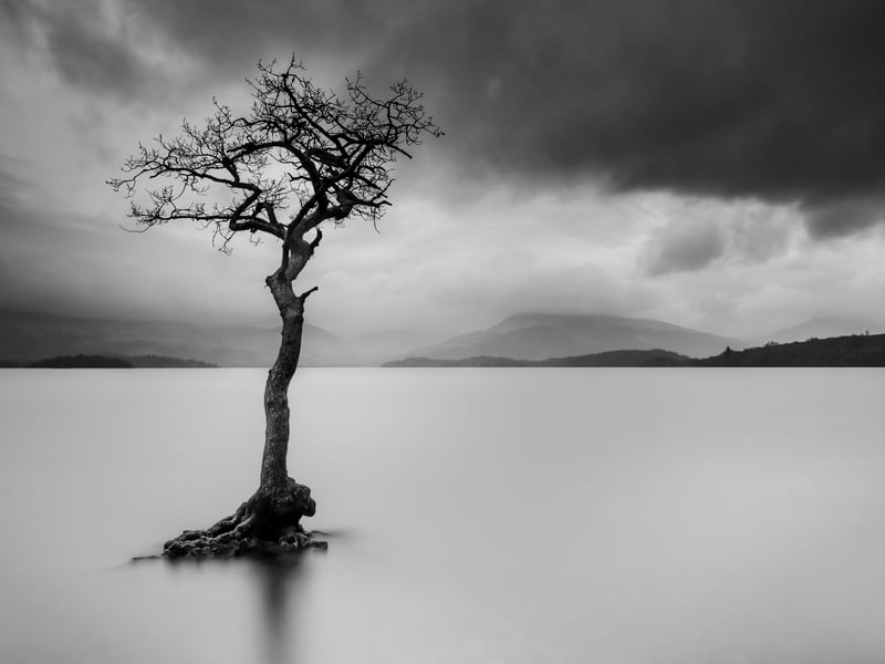 Said to be one of the most photographed trees in Scotland, the Milarrochy tree, a lone oak that rises from the waters of Milarrochy Bay in Loch Lomond, has been captured hereby Queenan. Putting his own spin on it, he combined two impages where the sky is taken as normal, while the water is a long exposure, giving the loch a smooth appearance.