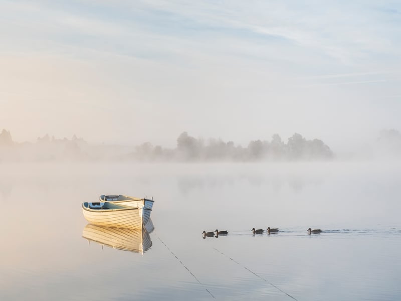 This is a photo of a small loch, loch Rusky, near Callander. It is known for its fishing boats and sheltered location that regular gathers mist, Queenan said. He said it took him at least six visits over several years before he was able to capture all the elements he wanted coming together in this shot.