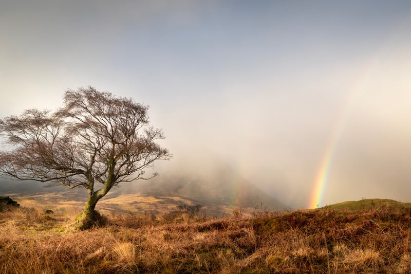 A picture of a setting on the isle of Arran by Dylan Nardini, one of the photographers whose work is being showcased in the exhibition. Nardini's love of the outdoors led him to become one of the country's multi award-winning landscape photographers in the UK. He won both the Scottish Landscape Photographer of the Year Award and the British Photography Awards Landscape Category in 2021. He was also commended in the UK Landscape Photographer of the Year and Outdoor Photographer of the Year Awards on more than one occasion.