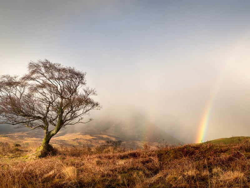 A picture of a setting on the isle of Arran by Dylan Nardini, one of the photographers whose work is being showcased in the exhibition. Nardini's love of the outdoors led him to become one of the country's multi award-winning landscape photographers in the UK. He won both the Scottish Landscape Photographer of the Year Award and the British Photography Awards Landscape Category in 2021. He was also commended in the UK Landscape Photographer of the Year and Outdoor Photographer of the Year Awards on more than one occasion.