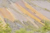 Nature regenerating across Spireslack, a former opencast coalmine 
