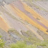Nature regenerating across Spireslack, a former opencast coalmine 