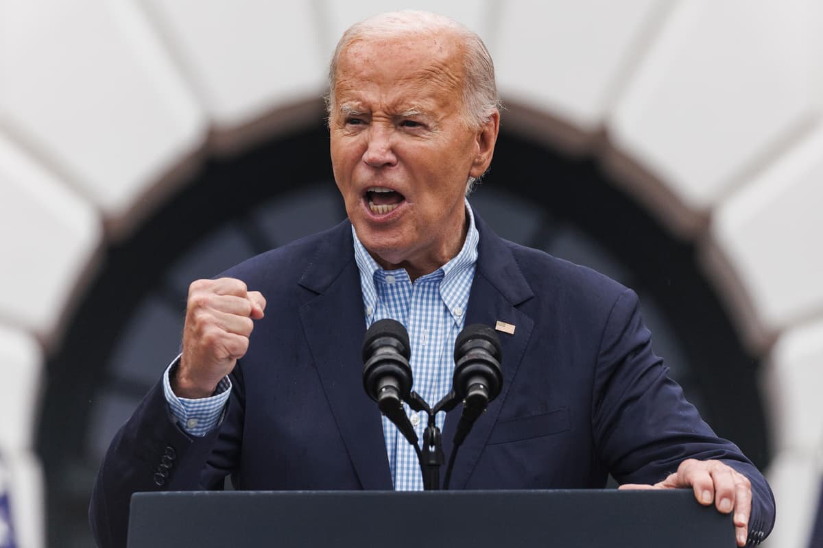 Joe Biden 2025 Announcement