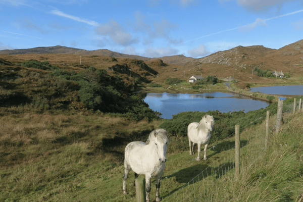 A new township for high ground on the isle of Barra could meet the double challenge of climate change and housing shortages, it has been claimed. PIC: Hugh Vennables/geograph.org
