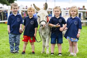 The importance of local and national agriculture shows 
