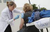 Vaccines provide an effective defence against many diseases, including whooping cough (Picture: Justin Sullivan/Getty Images)