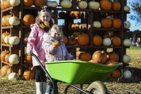 Children enjoying a day at Kilduff Farm in North Berwick where pumpkin picking was an annual event for members of the public before Halloween
