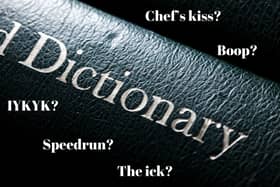 How many of these words and phrases that have been added to the dictionary do you use?