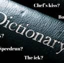 How many of these words and phrases that have been added to the dictionary do you use?