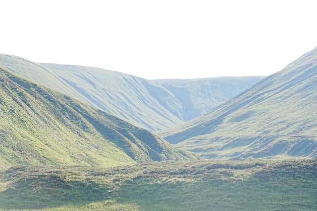 Up a glen at Dalnacardoch estate