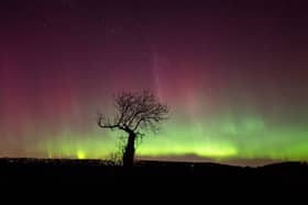 Look to the north this evening and you may get to enjoy a celestial treat.
