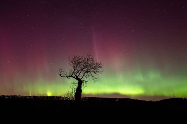 Look to the north this evening and you may get to enjoy a celestial treat.