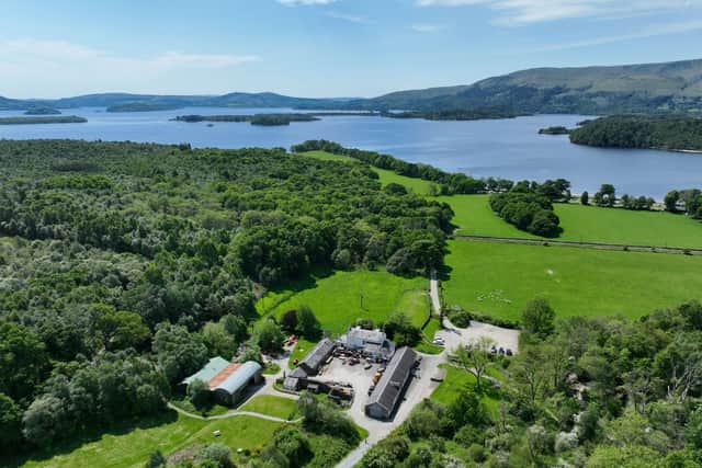There have been calls for the sale of Cashel woodland in the sale of the 3,069 acre Cashel Estate to halt