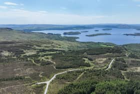 Cashel estate near Loch Lomond is up for sale, but there are reports of concern it could fall into hands of people who take no interest in woodland restoration work 
