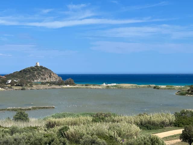The sea around Sardinia is spectacularly blue on a summer's day (Photo: Amber Allott)