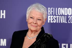 Judi Dench has been a high profile supporter of The Phoenix cinema in Oban.  (Photo by Stuart C. Wilson/Getty Images for BFI)